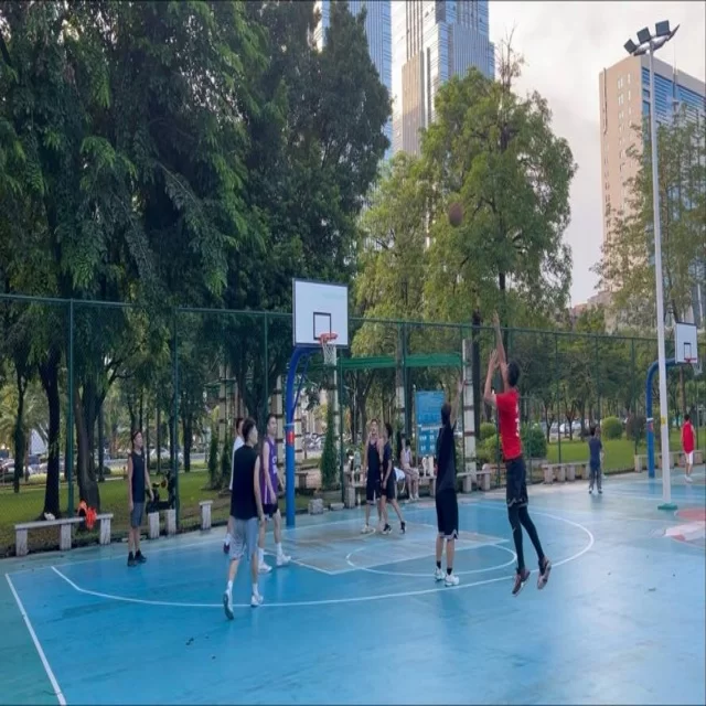 篮球季后赛走势深度解析：数据视角中的第121组动态